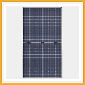 Longi 540 Bifacial 1